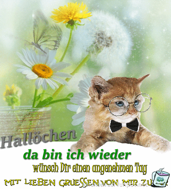Halloechen Halloechen