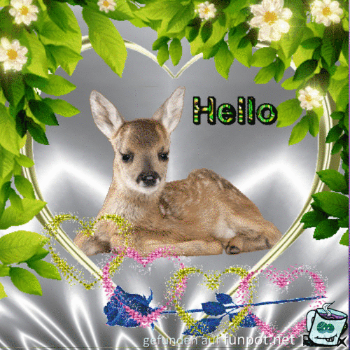 Hello Hello