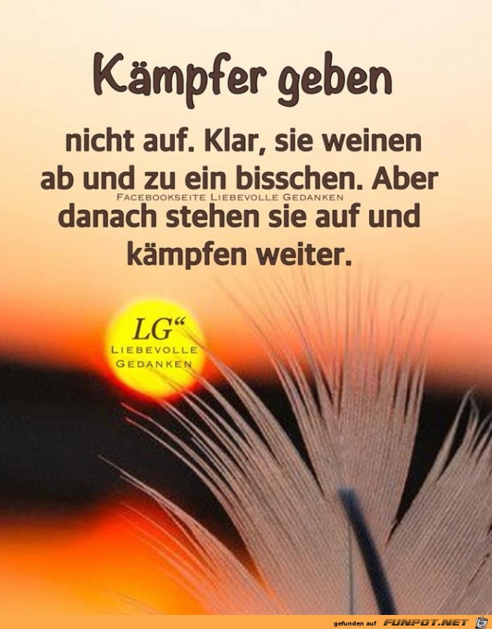 Kaempfer geben nicht auf Kaempfer geben nicht auf