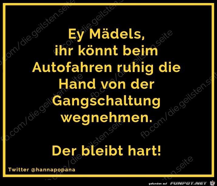 Gangschaltung Gangschaltung