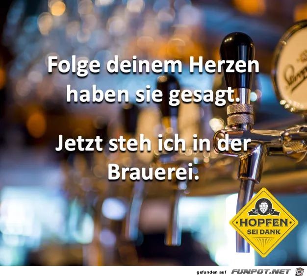 Folge Deinem Herzen Folge Deinem Herzen
