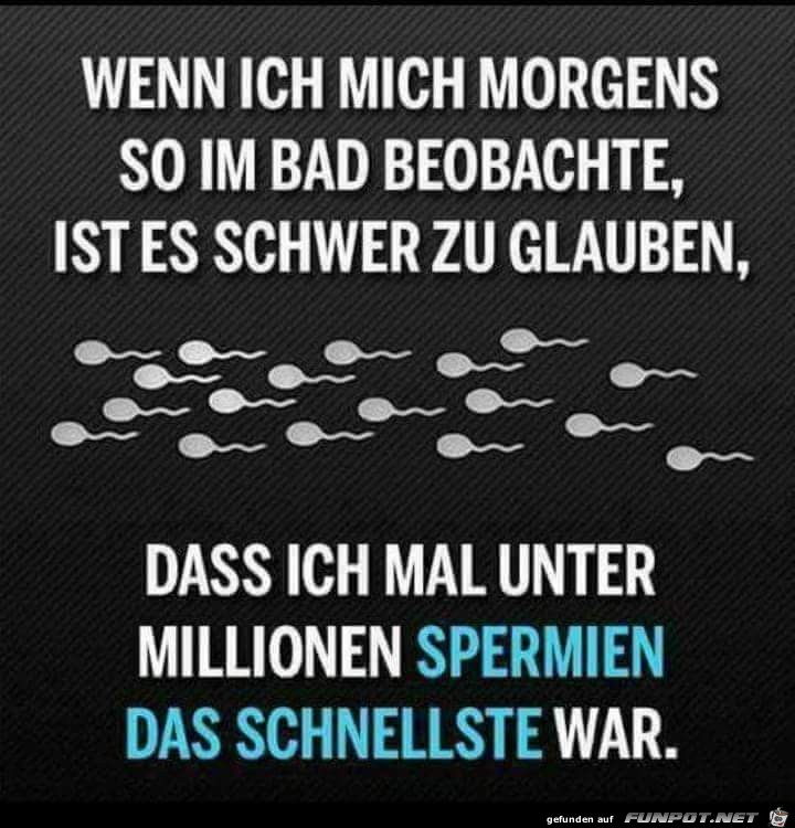 wenn ich mich morgens wenn ich mich morgens