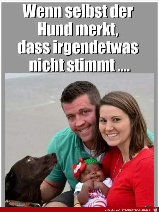 wenn selbst der Hund merkt