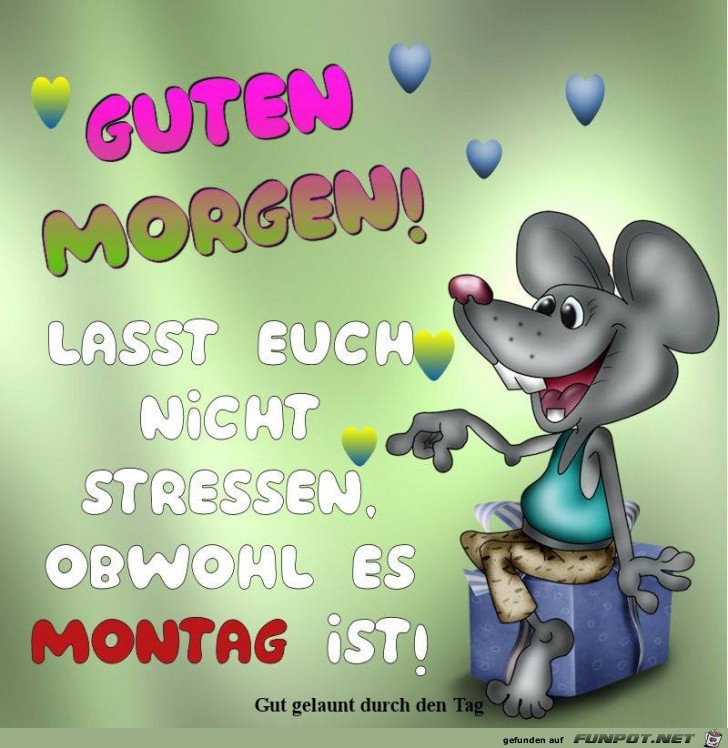 Guten Morgen- -