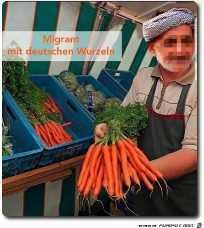 deutsche Wurzel