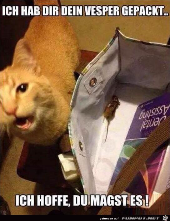 Dein Vesper Dein Vesper