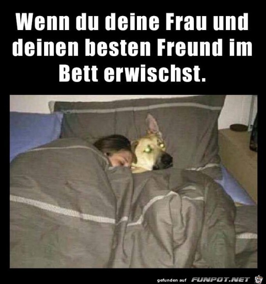 Das ist bitter Das ist bitter