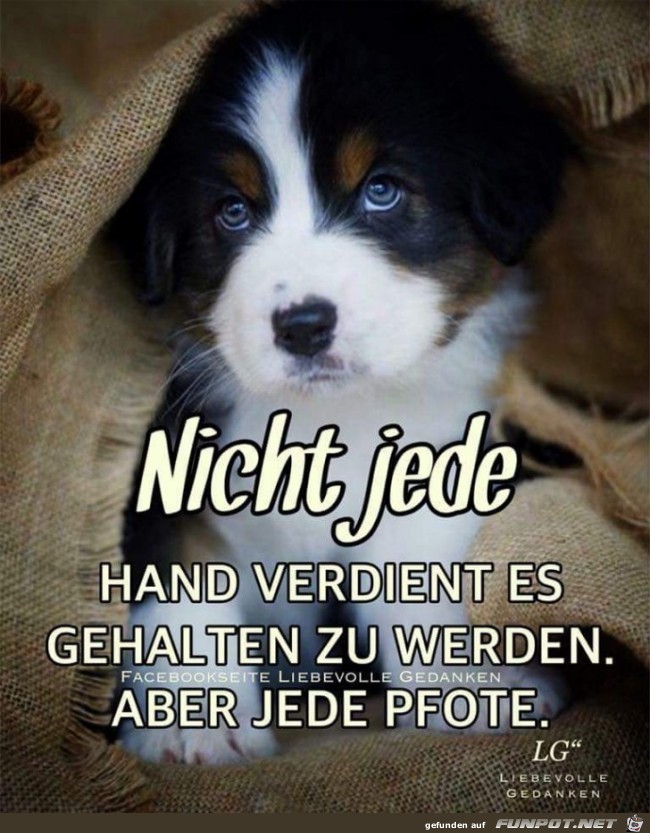 nicht jede Hand nicht jede Hand
