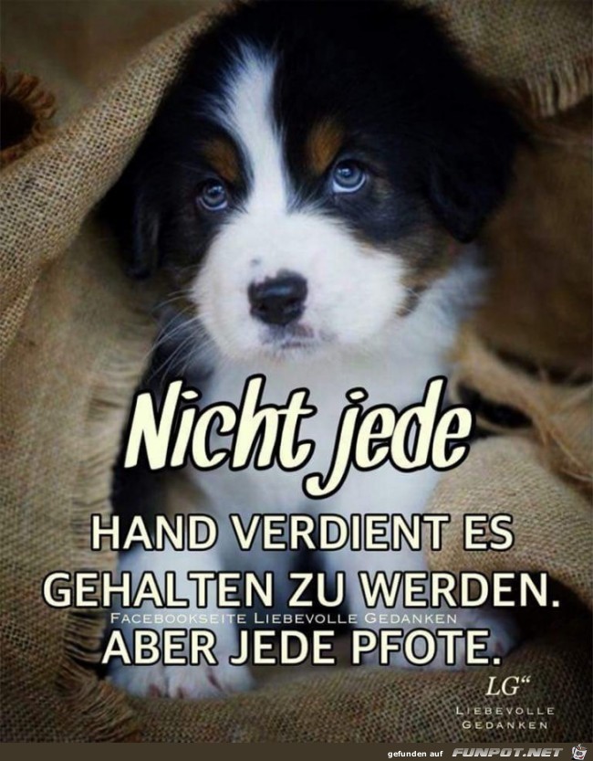 nicht jede Hand