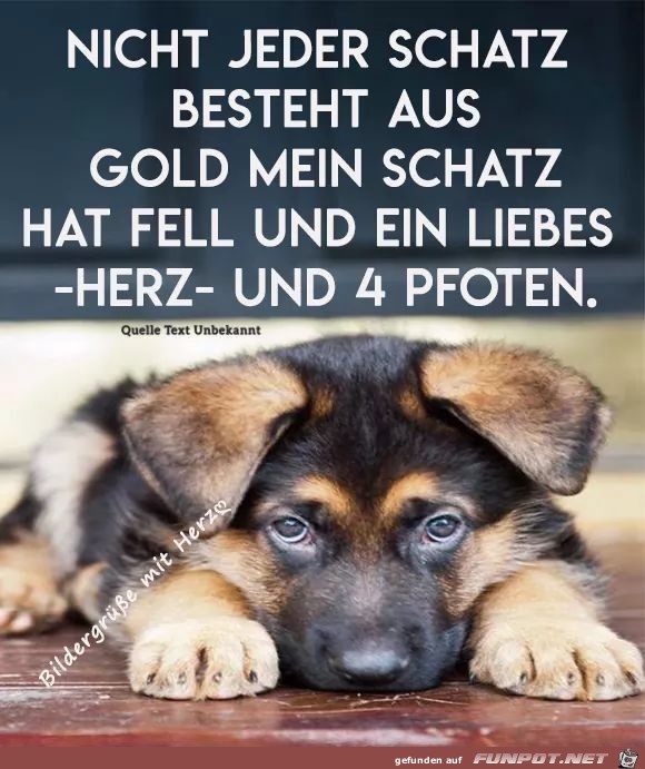 nicht jeder Schatz nicht jeder Schatz