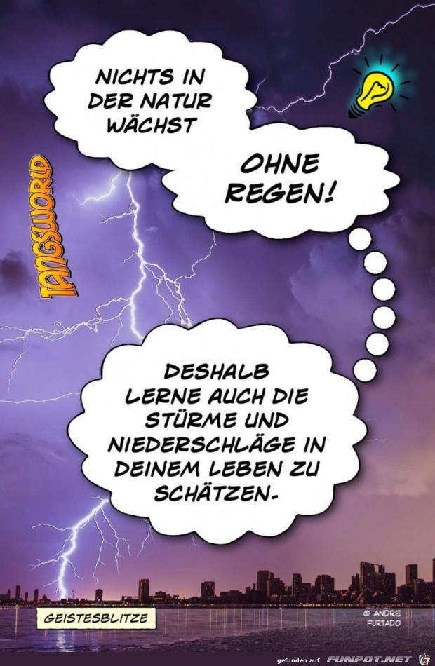 nichts in der Natur nichts in der Natur