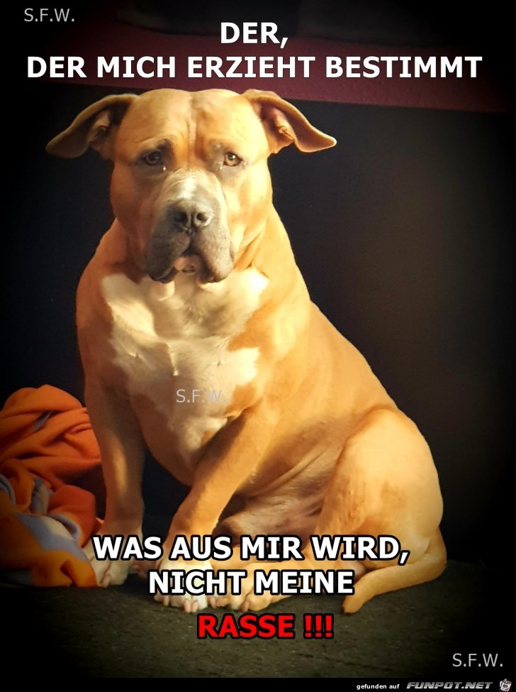 DER MICH ERZIEHT DER MICH ERZIEHT