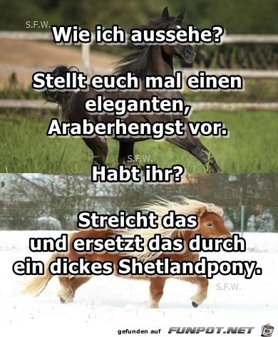 Wie ich aussehe Wie ich aussehe