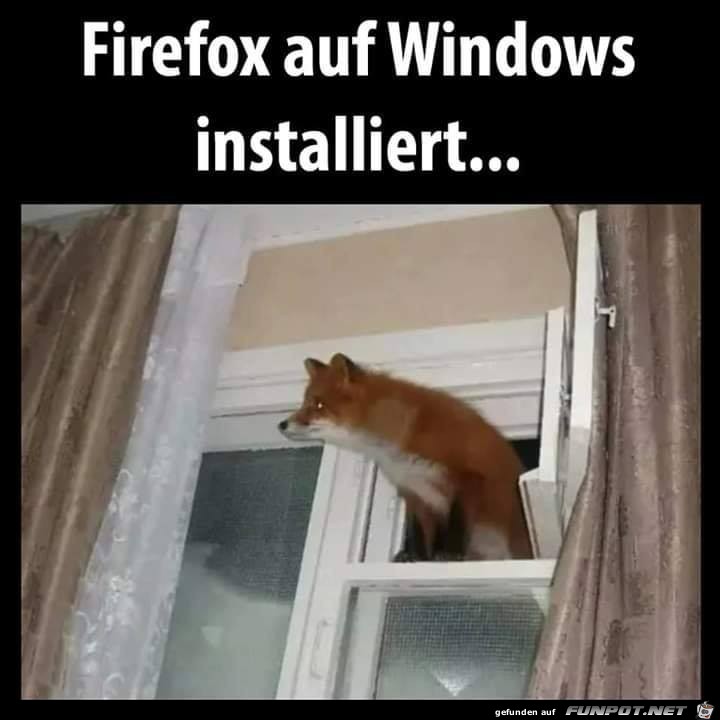 Firefox Firefox