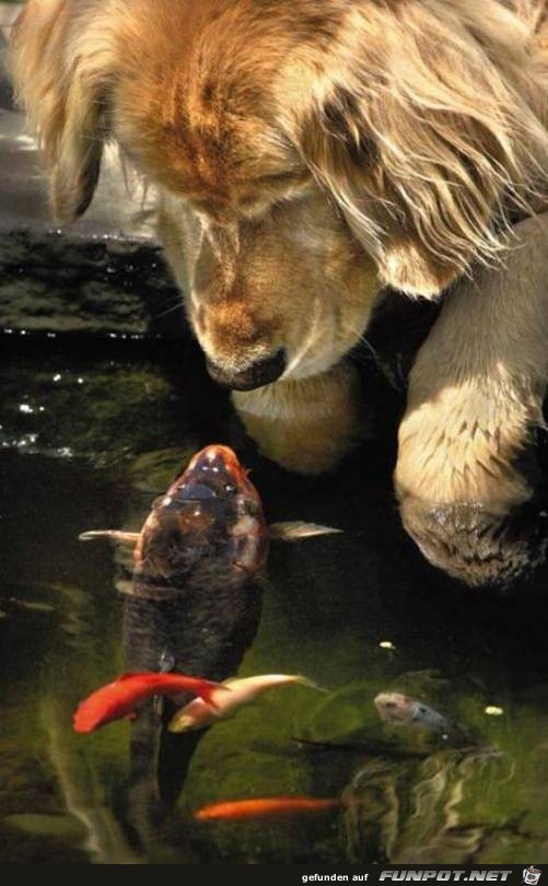 Bild82 Bild82