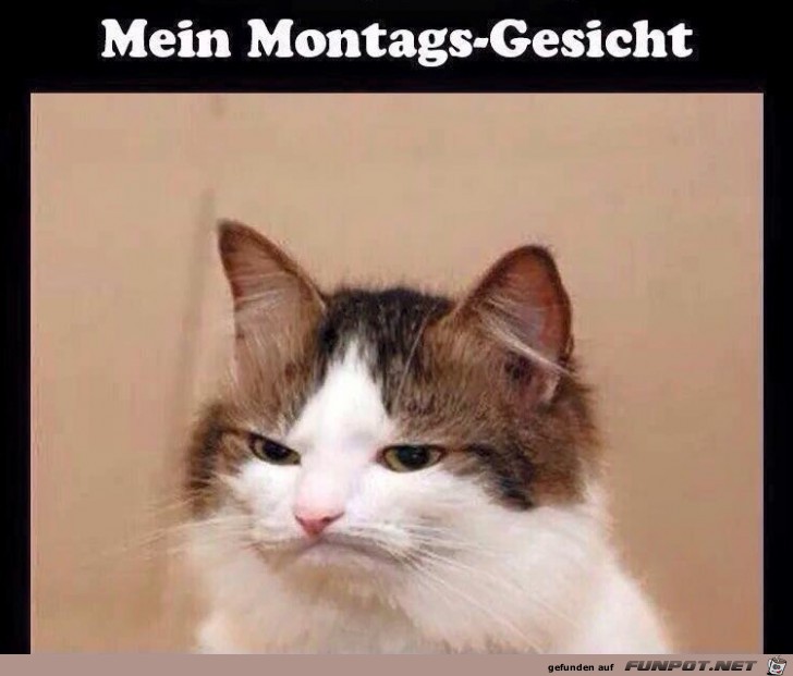 Montag Montag