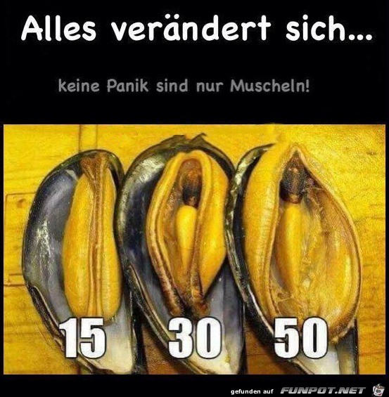 Nur Muscheln