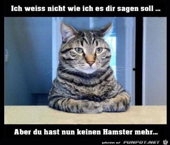 Wie sage ich es nur Wie sage ich es nur