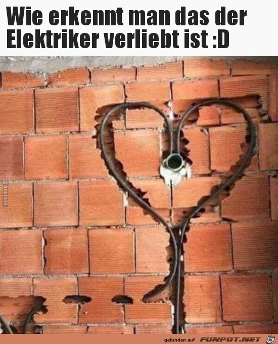 Wie putzig Wie putzig