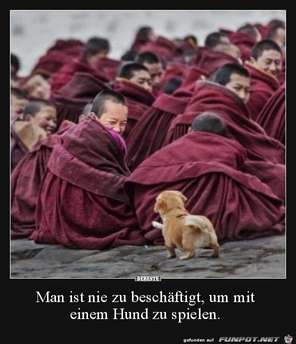 Wie putzig Wie putzig
