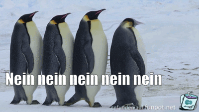 Nein Nein