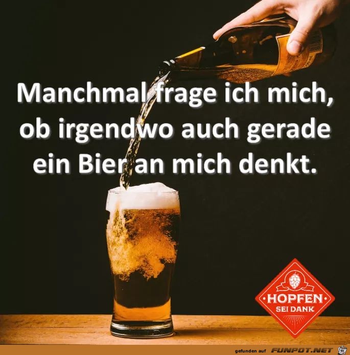 Fragen die man sich so stellt Fragen die man sich so stellt
