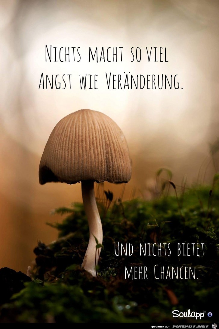 nichts macht so viel Angst