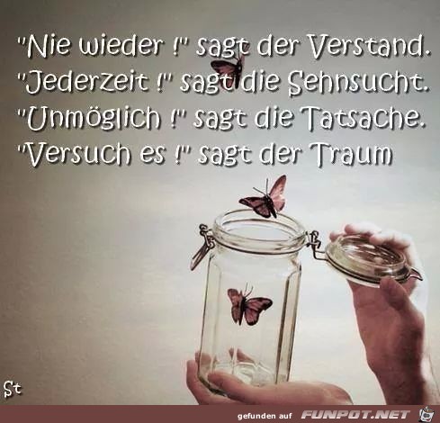 nie wieder nie wieder