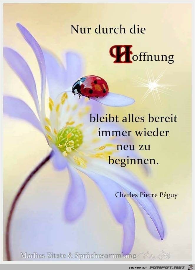 nur durch die Hoffnung nur durch die Hoffnung