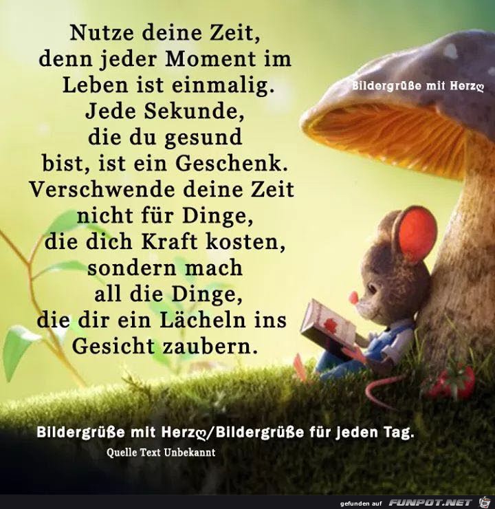 nutze deine Zeit nutze deine Zeit