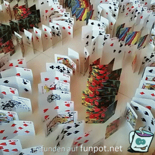 Domino Domino
