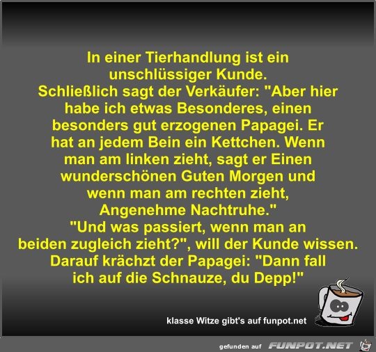 In einer Tierhandlung ist ein unschlüssiger Kunde In einer Tierhandlung ist ein unschlüssiger Kunde