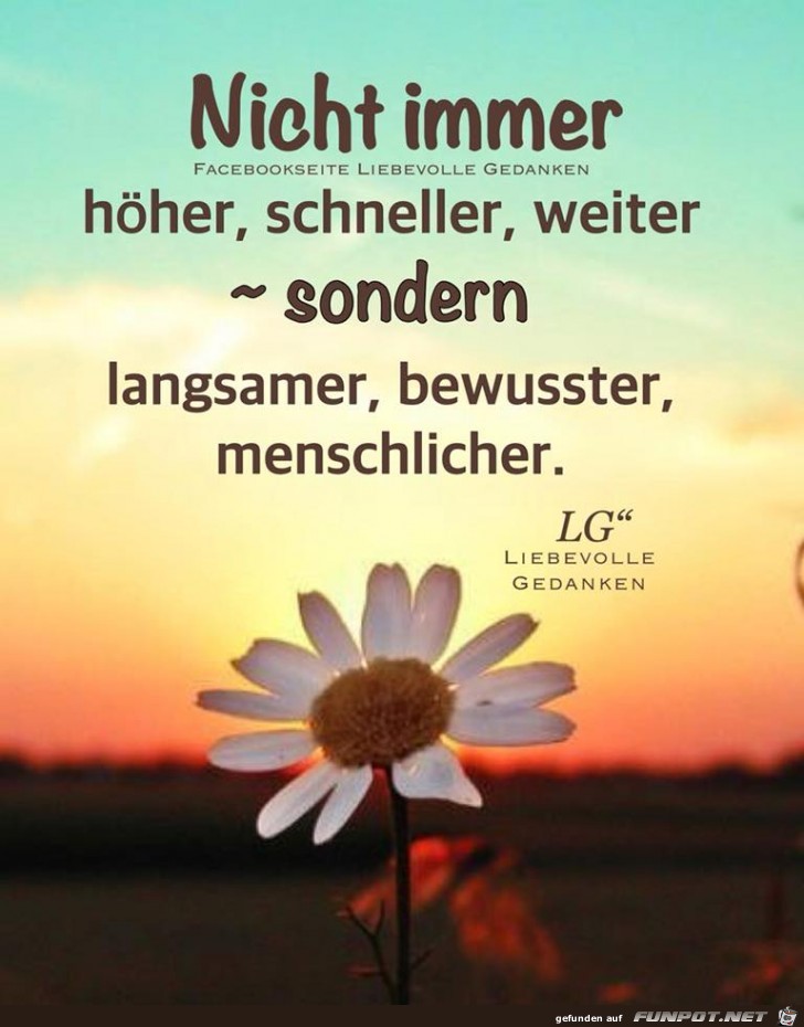 Nicht immer