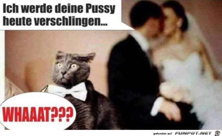 Wie bitte Wie bitte