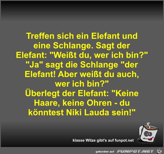 Treffen sich ein Elefant und eine Schlange Treffen sich ein Elefant und eine Schlange