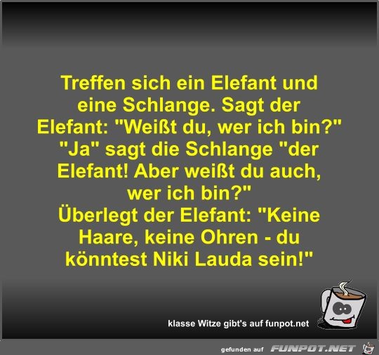 Treffen sich ein Elefant und eine Schlange