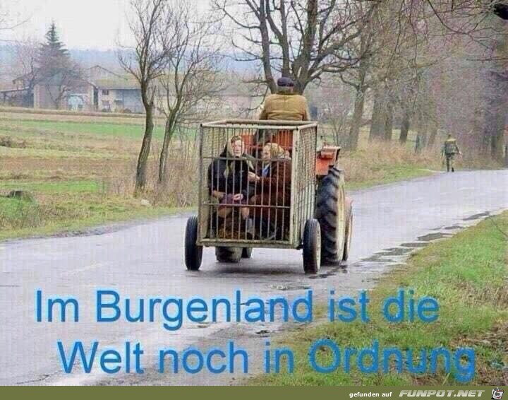 Im Burgenland...