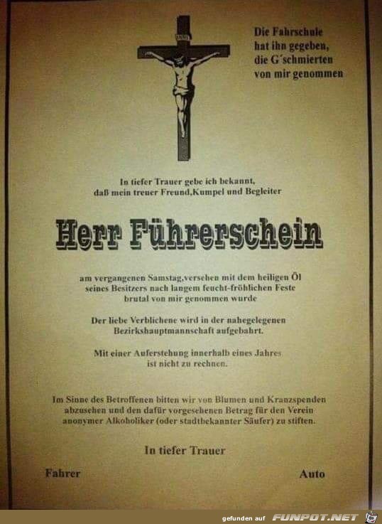 Herr Führerschein Herr Führerschein
