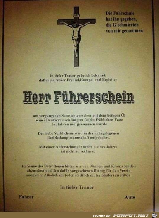 Herr Fhrerschein