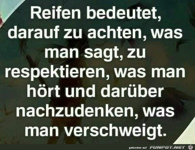 reifen bedeutet reifen bedeutet