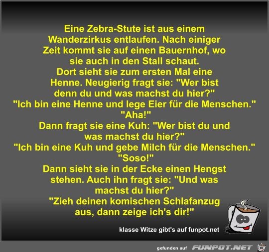 Eine Zebra-Stute ist aus einem Wanderzirkus entlaufen Eine Zebra-Stute ist aus einem Wanderzirkus entlaufen