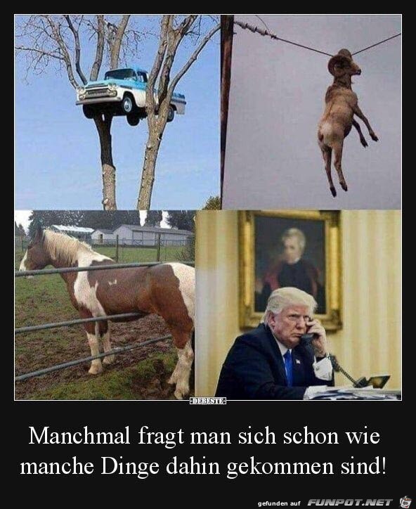 wie kommen die Dinge denn da hin ? wie kommen die Dinge denn da hin ?