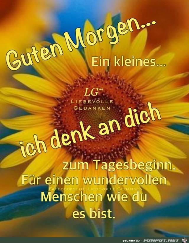 Guten Morgen