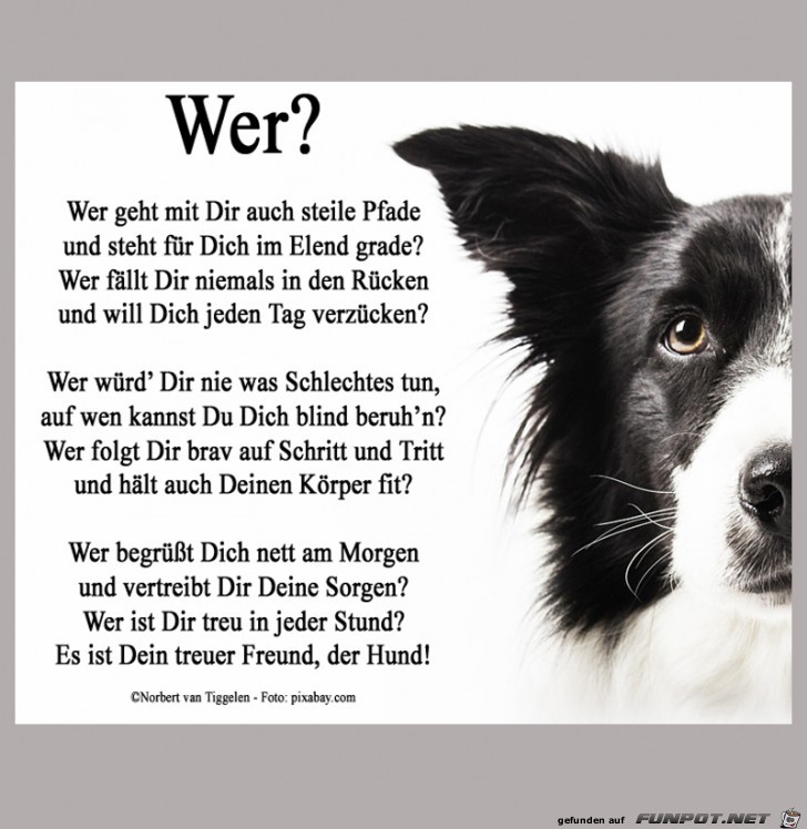 Wer wohl?!