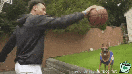 Baseball mit Schäferhund Baseball mit Schäferhund