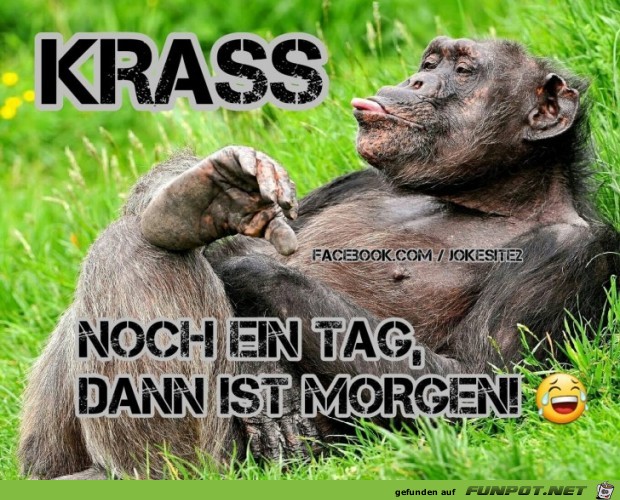 Krass Krass