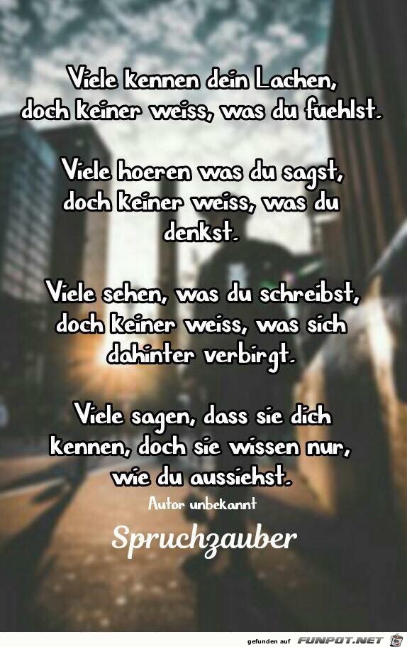 Viele Viele