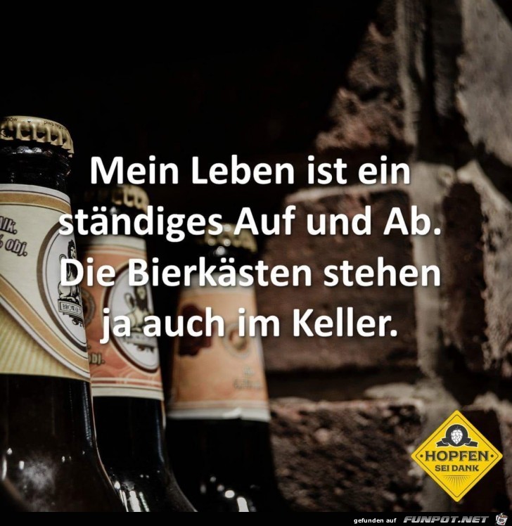 Mein Leben ist ein ständiges Auf und Ab Mein Leben ist ein ständiges Auf und Ab