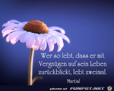 Wer so lebt