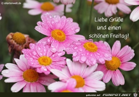 Liebe Gruesse